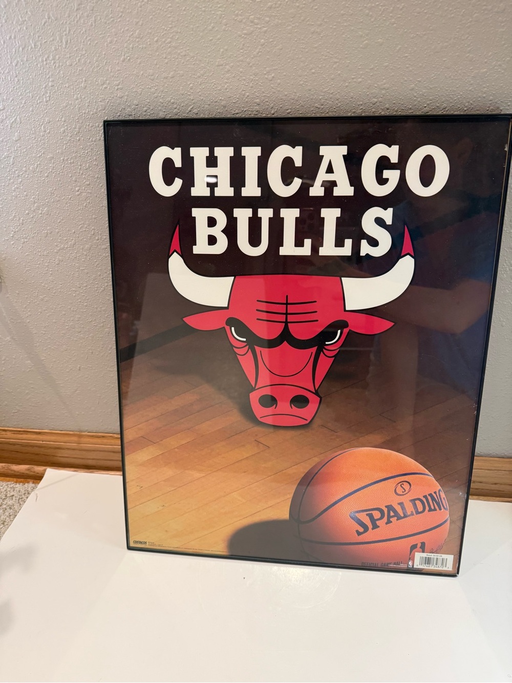 Framed Chicago Bulls NBA Basketball Team Vintage Logo Poster Art